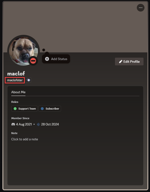 Discord username
